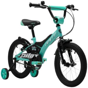 Bicicleta Gw Pilot 16